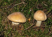 IMG_3988