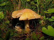 IMG_5940