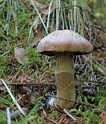 IMG_9912