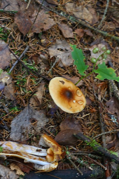 IMG_9279.JPG