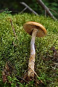 IMG_1065