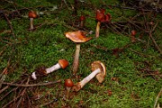 IMG_2397