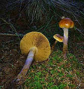 IMG_6212