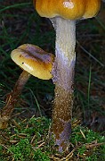 IMG_6213