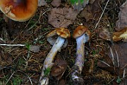 IMG_9266