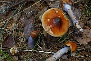 IMG_9269