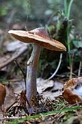 IMG_9276