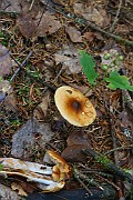 IMG_9279