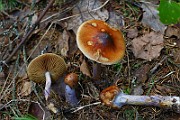 IMG_9280
