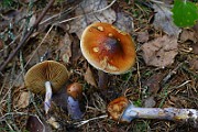 IMG_9281
