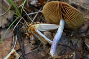 IMG_9282