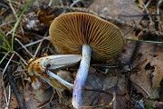 IMG_9283