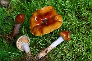 IMG_9360
