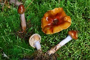 IMG_9361