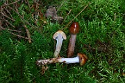 IMG_9363
