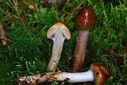 IMG_9364