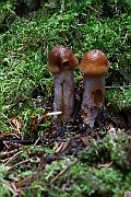 IMG_9380