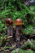 IMG_9381