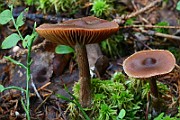 IMG_1198