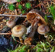 IMG_2401