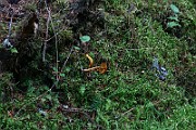 IMG_2392