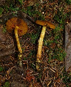 IMG_9373