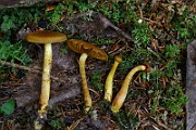 IMG_9375