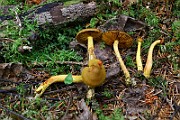 IMG_9377