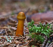 IMG_0954