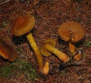 IMG_6178