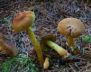 IMG_6179