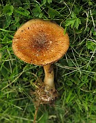 IMG_2857