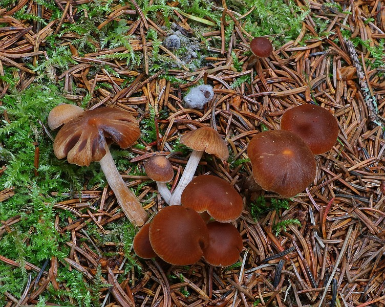 IMG_6264.JPG