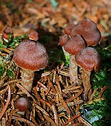 IMG_6261