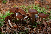 IMG_6266