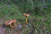 IMG_0638