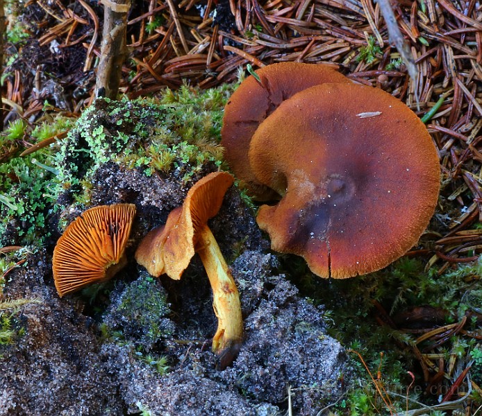 IMG_6180.JPG