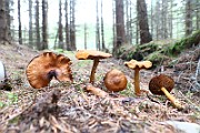IMG_9395