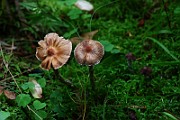 IMG_2279