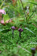 IMG_2288