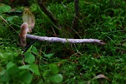IMG_2289