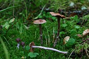 IMG_2291
