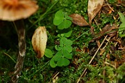 IMG_2296