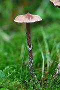 IMG_2300