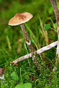 IMG_2311