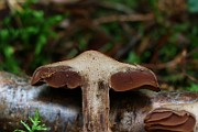 IMG_2139