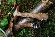 IMG_2140