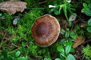 IMG_2152
