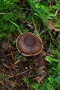 IMG_2153