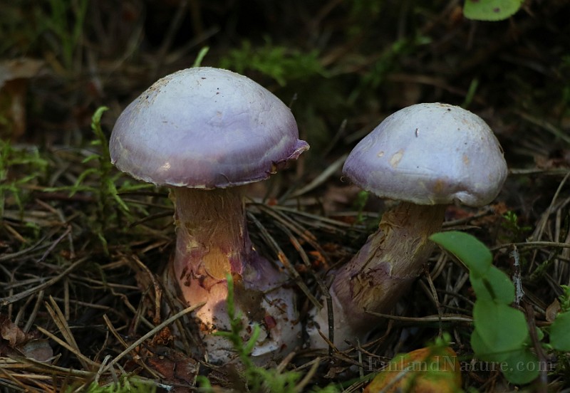 IMG_1912.JPG